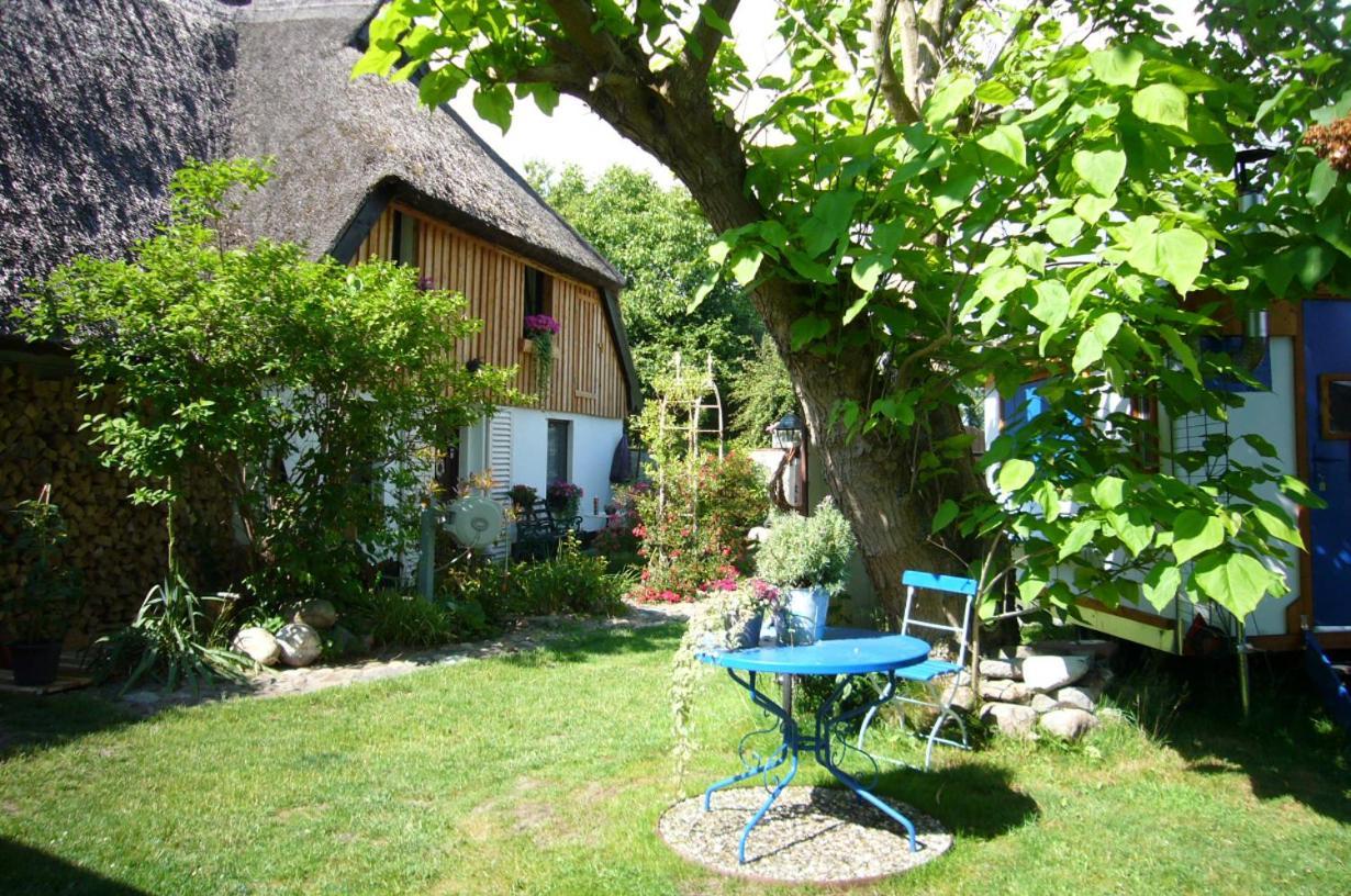 Tiny House Ostsee # Naturwerk Pruchten Exterior photo